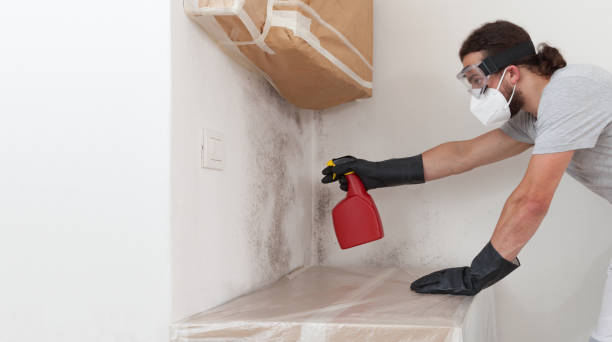Professional Crawl Space Mold Remediation technician working in Castalia, NC