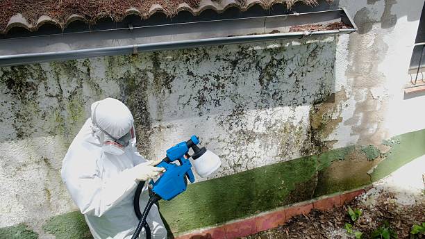 Top rated local Crawl Space Mold Remediation specialists in Castalia, NC